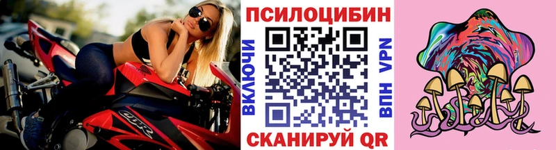Псилоцибиновые грибы Psilocybine cubensis  Камызяк 